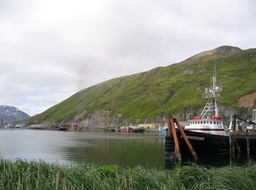 Harbor img_2082