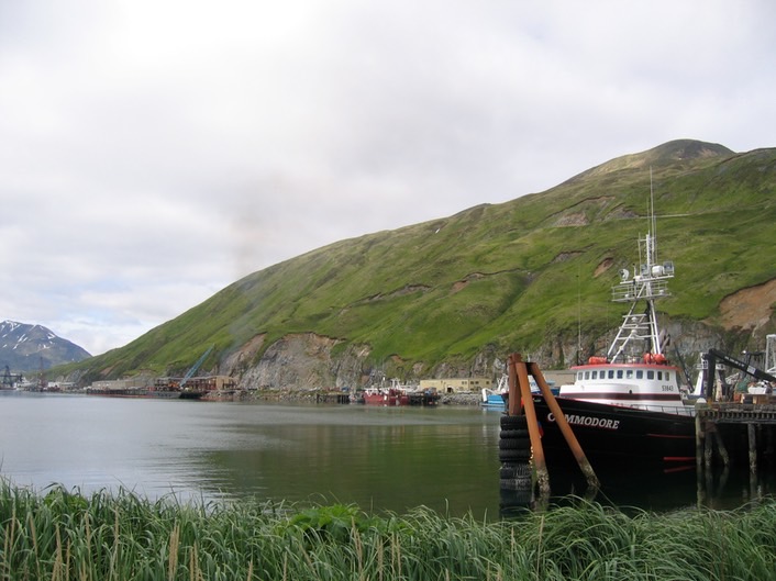 Harbor img_2082