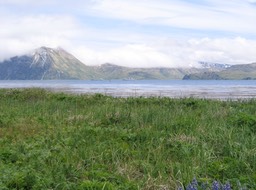 Harbor img_2084