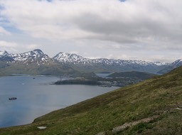 Harbor img_2086