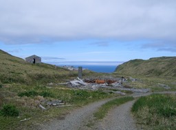 Road above harbor img_2089
