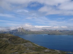 View from hill above harbor img_2096