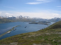 Harbor img_2111