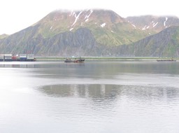 River img_2136