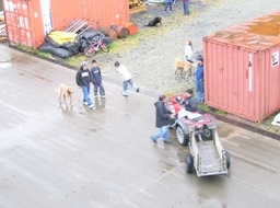 Landing img_2151