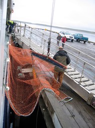 Landing img_2158