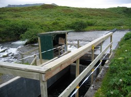 Fish chute? img_2207
