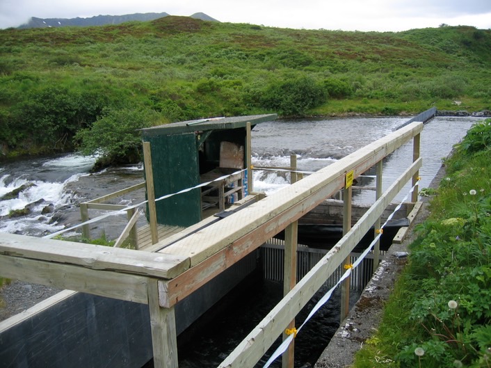 Fish chute? img_2207