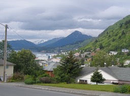 Kodiak img_2218