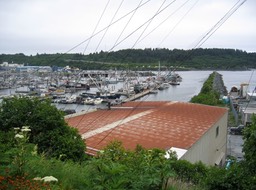 Kodiak img_2221