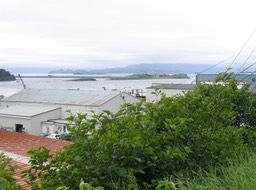 Kodiak img_2223