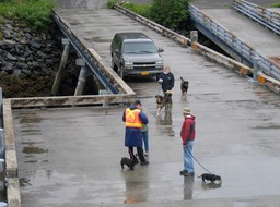 Loading area img_2232