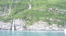 Rookery on far shore img_2259