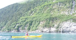 Rookery on far shore img_2261