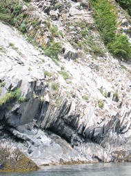 Rookery on far shore img_2264