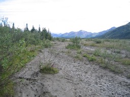 River Bed img_2317