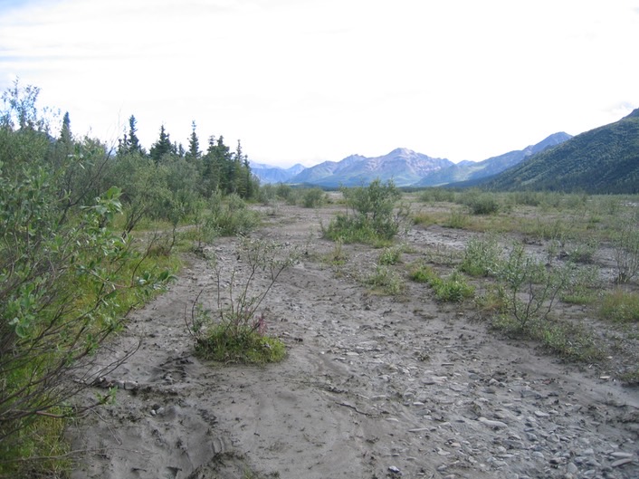 River Bed img_2317