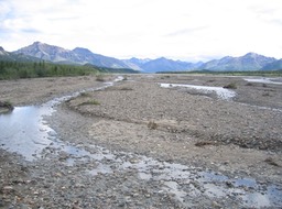 River Bed img_2320