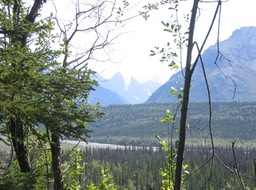 View img_2347
