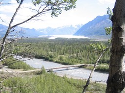 Bridge view img_2348