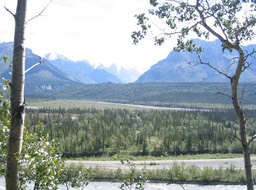 View img_2350