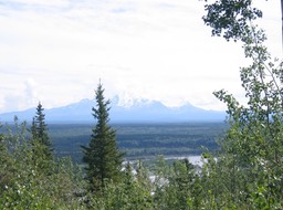 View img_2365