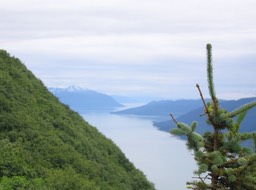 View  img_2460