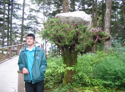 Guide with Upside Down Tree img_2474