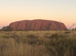 IMG_2487