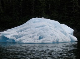 Chunk of Glacier img_2488