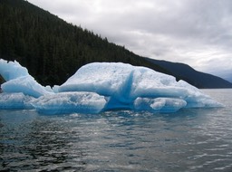 Chunk of Glacier img_2489
