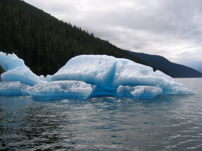 Chunk of Glacier img_2489