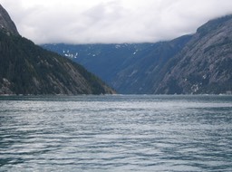 Tracy Arm img_2495