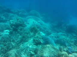IMG_2524