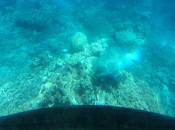 IMG_2527