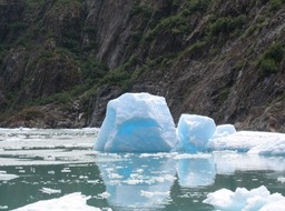 Glacier Chunks img_2529