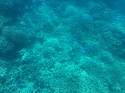 IMG_2538
