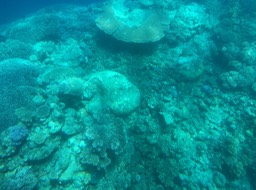 IMG_2543