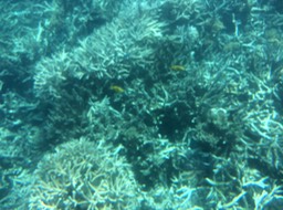 IMG_2547