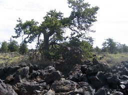 Crater img_2700