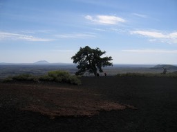 View from Hill img_2711