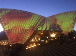 IMG_2741
