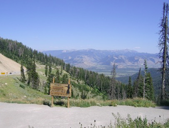 IMG 2770.JPG