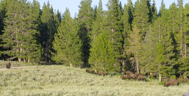 IMG 2785.JPG