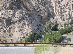 View img_2798