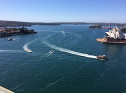 IMG_2810