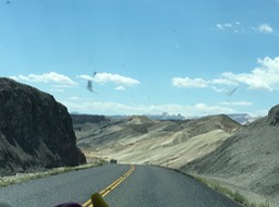 IMG_2817