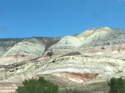 IMG_2828