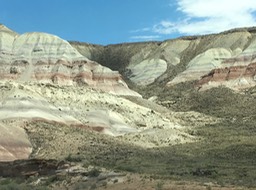 IMG_2829