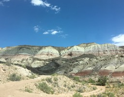 IMG_2831